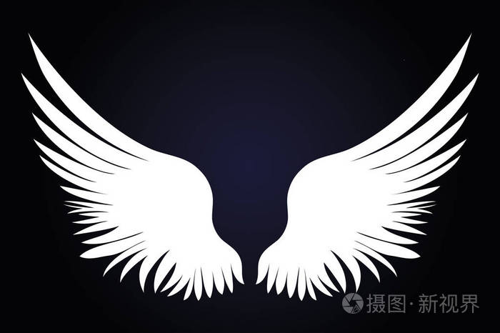 白色的翅膀.在暗背景上的矢量插图.黑插画-正版商用02