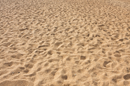 海滩泥沙，海滩砂