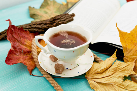 一杯茶在秋叶旁的书旁边。教育和舒适
