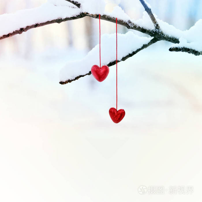 冬天, 红桃在雪树枝上.节日快乐情人节庆祝爱心理念