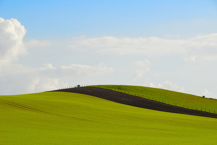 青山