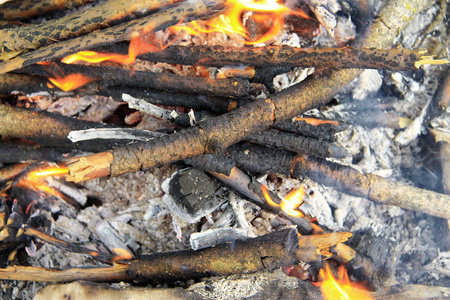 在森林里准备烧烤篝火