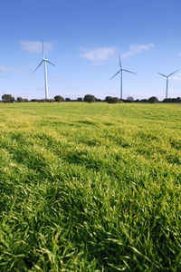 ekologick elektrick energie vtrnch mln v louce