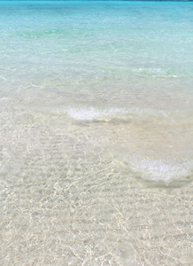 turquioise 完美的热带海滩白砂