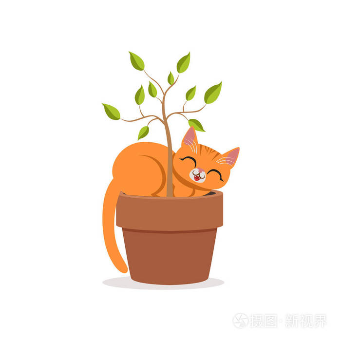 可爱搞笑红猫睡在一棵植物花盆家庭宠物休息卡通矢量图