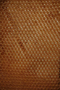 蜂蜡 wirhout 蜂蜜
