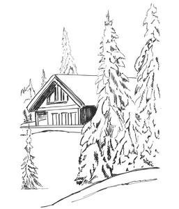 矢量图形草图。冰雪覆盖的冷杉树冬季森林景观