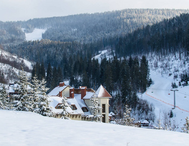 乌克兰 2017年2月 冰雪覆盖的酒店在冬天森林