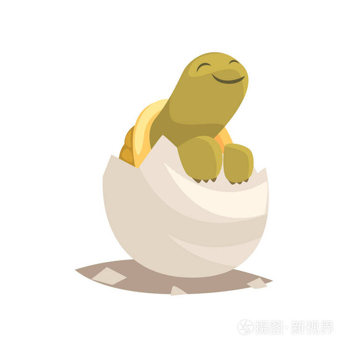 可爱的绿海龟孵出蛋