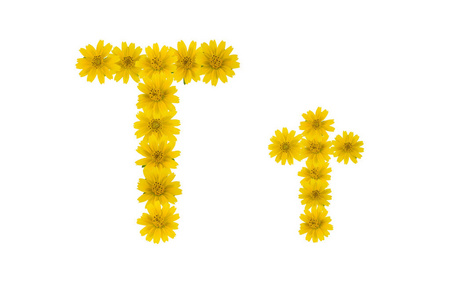 字母 T, 字母表由黄色蟛花在白色背景上隔离
