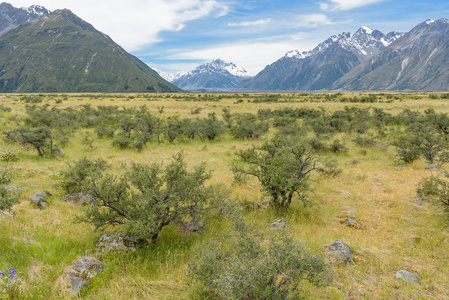 mt.cook 国家公园，新西兰景观