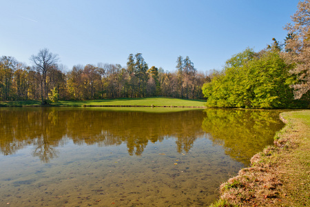 池塘 the pond 非正式大西洋