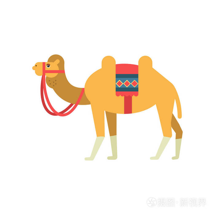 骆驼的马鞍和盖在后面 两个双峰沙漠动物 传统埃及文化的象征矢量
