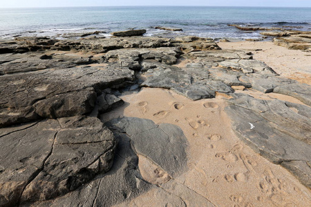 在以色列北部地中海沿岸的海岸图片