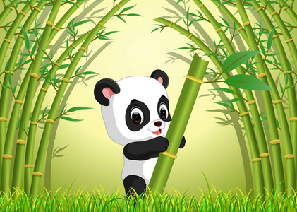 竹林里的两只可爱的熊猫