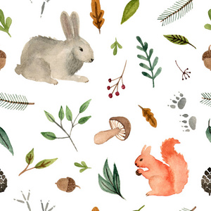 水彩图案动物松鼠和兔子