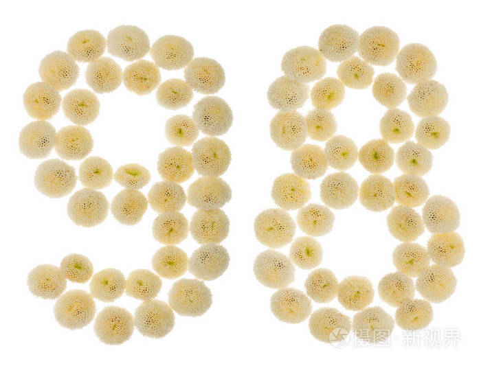阿拉伯数字98九十八从奶油花的chrysanth