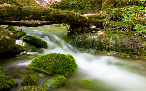 山涧，山区河流 山溪