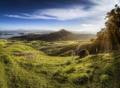 草甸在倾斜的光, 温暖的早晨太阳的太阳射线, Hoopers 湾, 奥塔哥半岛, 南海岛, 新西兰, 大洋洲