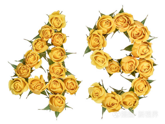 阿拉伯数字 49, 四十九, 从玫瑰黄色的花, 孤立