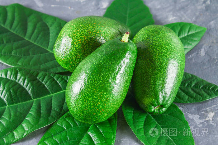 三绿色原始的成熟鳄梨果子与叶子在灰色黑暗的混凝土桌
