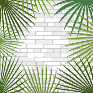 棕榈树叶在砖墙上的背景。矢量插图