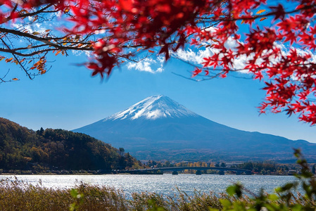 日本富士山多彩秋季河口湖