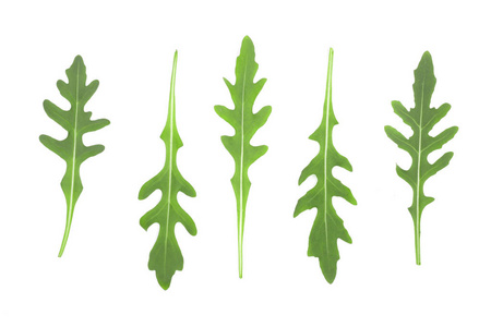 绿色新鲜的 rucola 或芝麻菜叶子在白色背景隔绝了。顶部视图。平的放置模式。设置或集合