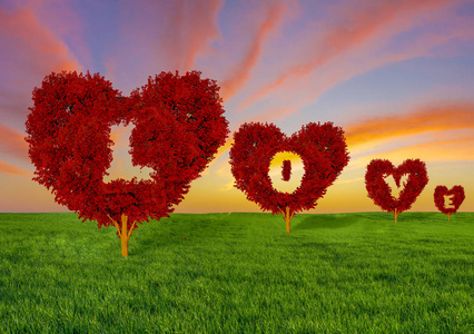 春天田野上的红心形树, 爱的概念和 va