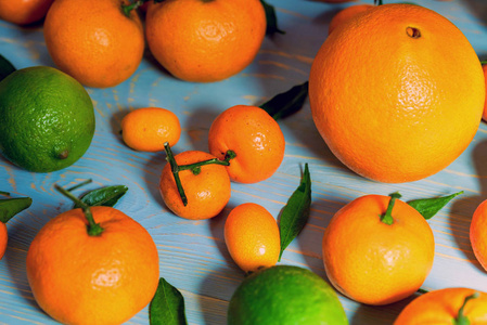 各种柑橘类水果的特写。顶部视图