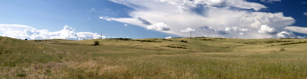 干 alentejo 景观