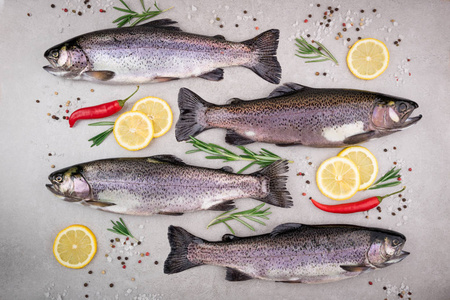 新鲜的鱼鳟鱼与盐, 柠檬, 迷迭香, 香料和草药的灰色背景。用香草烹调鱼
