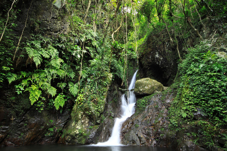 隐藏的雨林瀑布，茂密的树叶和苔藓的岩石