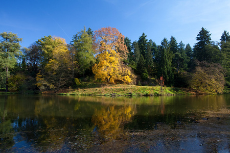 美丽的秋景，有五颜六色的树木和池塘