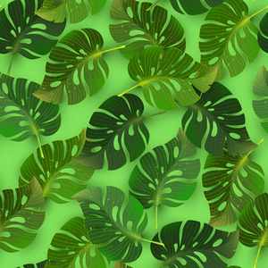 模式与丛林热带龟背竹叶
