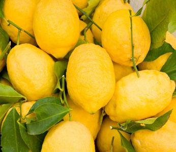 柠檬 lemon的名词复数  柠檬树 柠檬黄 蠢人