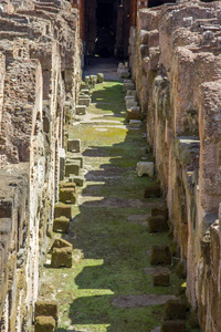 细节从内部罗马竞技场 amphiteater 在罗马