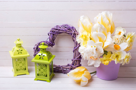 紫盆中的春天水仙花, 绿色的灯笼和白色木制背景上的装饰心
