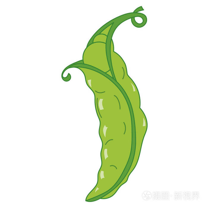 矢量绿豌豆插画-正版商用图片02x0ew-摄图新视界