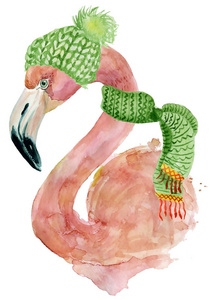 圣诞粉红火烈鸟配冬季装饰绿帽子和围巾