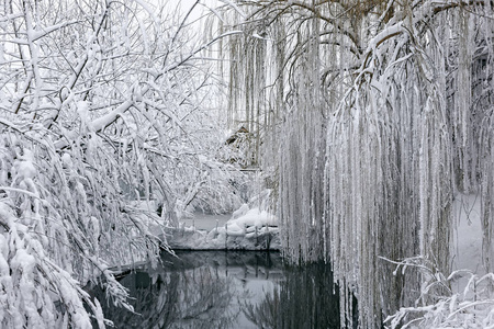冬季景观与 pond8