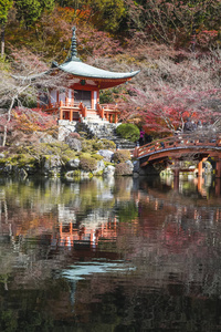 Daigoji 寺在京都在秋天