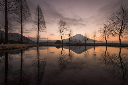 富士山在早上在 Fumotopara 露营地，富士，静冈县