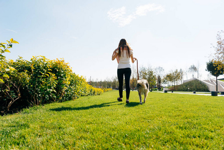 一个女孩走在秋天的公园里和她的狗