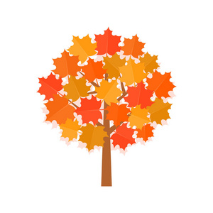 槭树与黄色的叶子在秋季的平面设计矢量