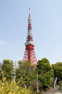 蓝蓝的天空 bakcground，著名的地标在东京，日本东京塔