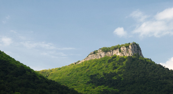 山区和森林