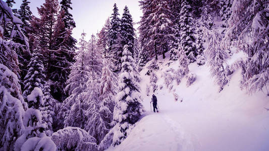 女孩与雪在树林里徒步旅行