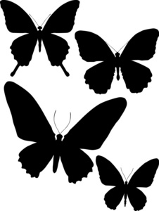 四个热带蝴蝶剪影