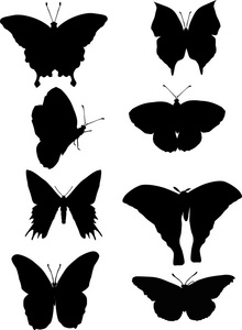 八个蝴蝶剪影集